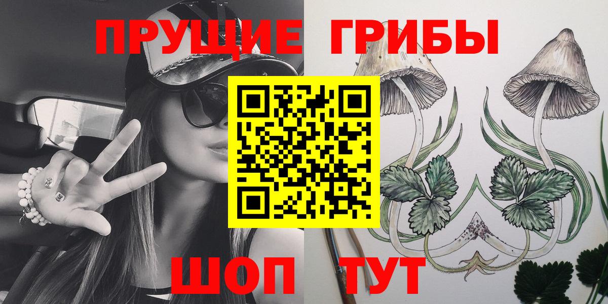 Псилоцибиновые грибы GOLDEN TEACHER  Галлюциногенные грибы Psilocybe  Чебаркуль  Вход с VPN 